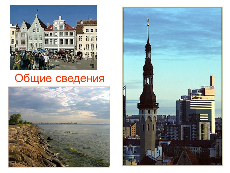 Общие сведения